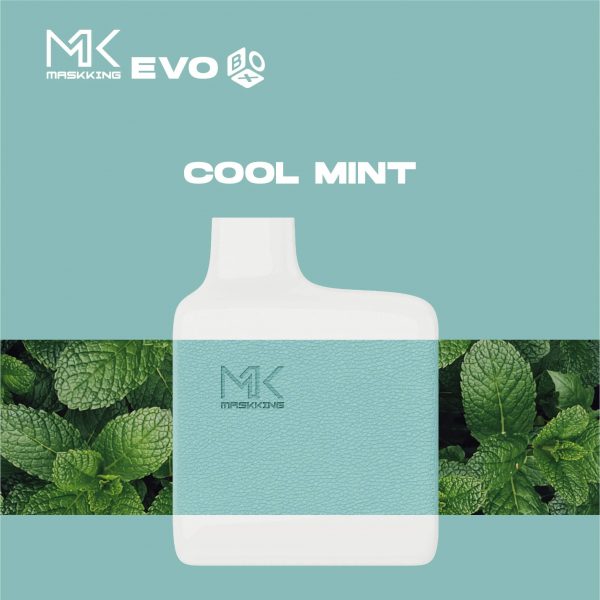 Maskking Evo Box 5000 Cool Mint